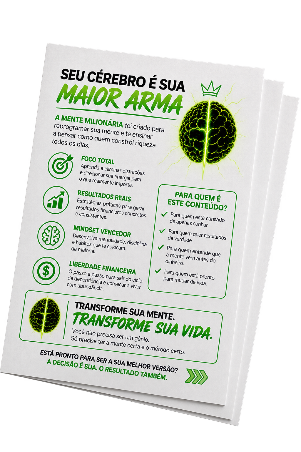 Miniatura da imagem 2